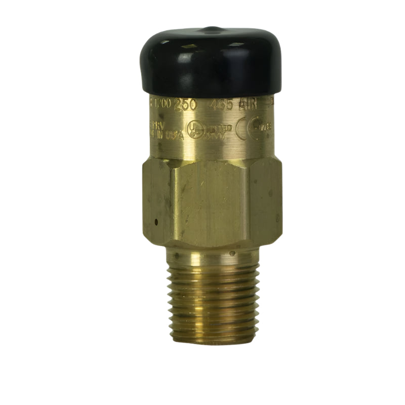 REGO 3129L Hydrostatic Relief Valve 400 PSI 1/2