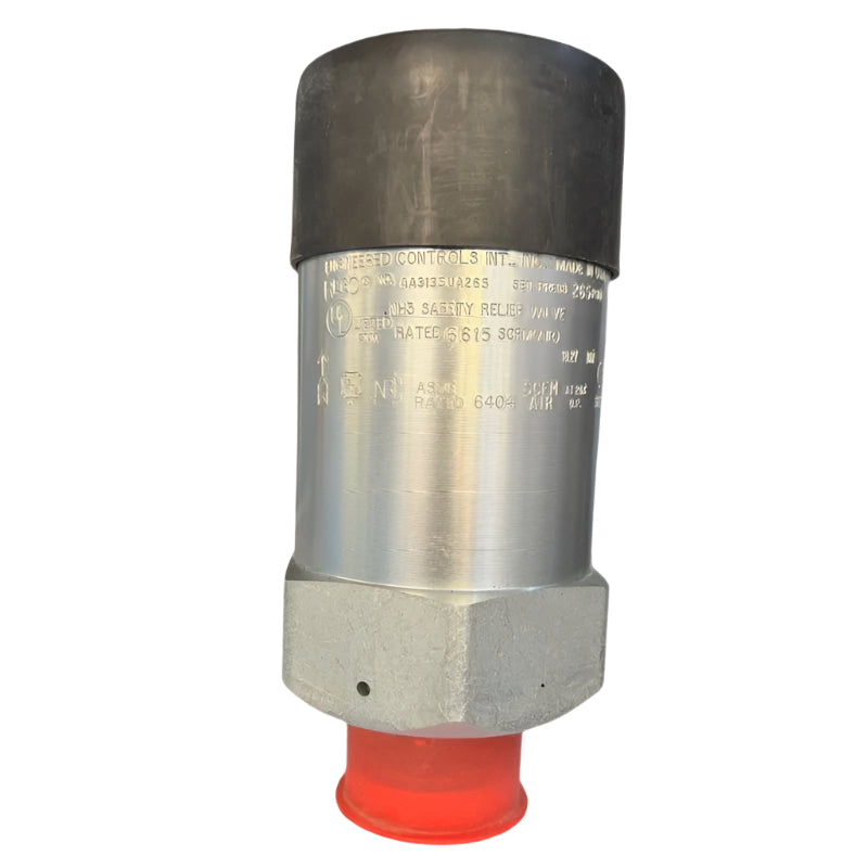 AA3135UA265 EXTERNAL PRESSURE RELIEF VALVE 1-1/4" M.NPT REGO USA