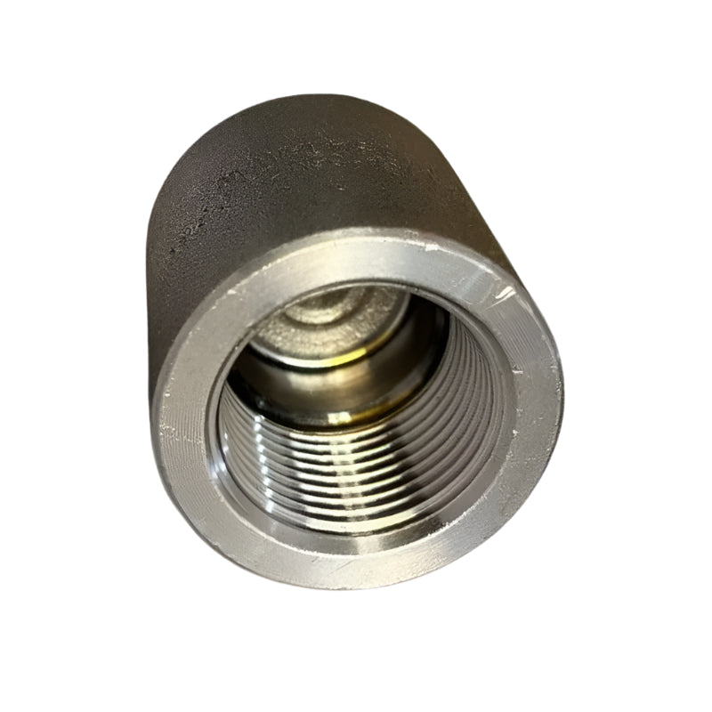 DUMMY PLUG CS FEMALE NPT 3/4"