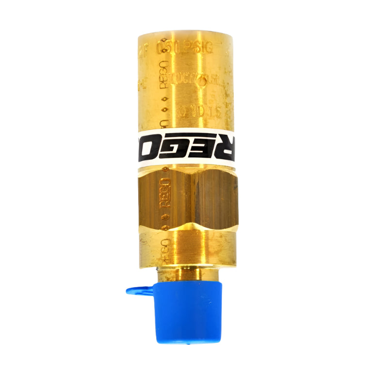 PRV9432T500 RELIEF VALVE CRYOGENIC BRASS 1/4" M.NPT (34.5BAR) REGO USA